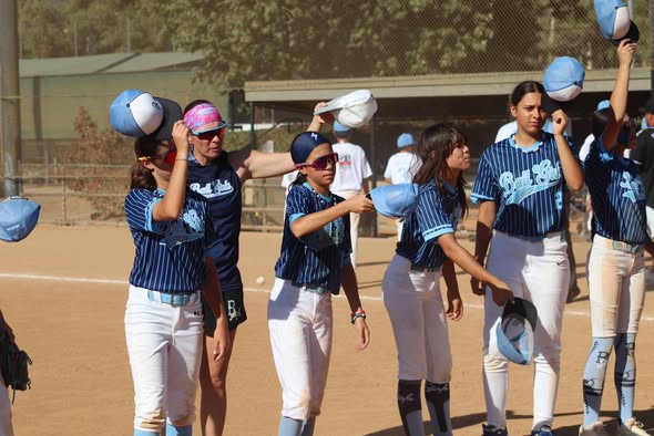 Board and governance practices